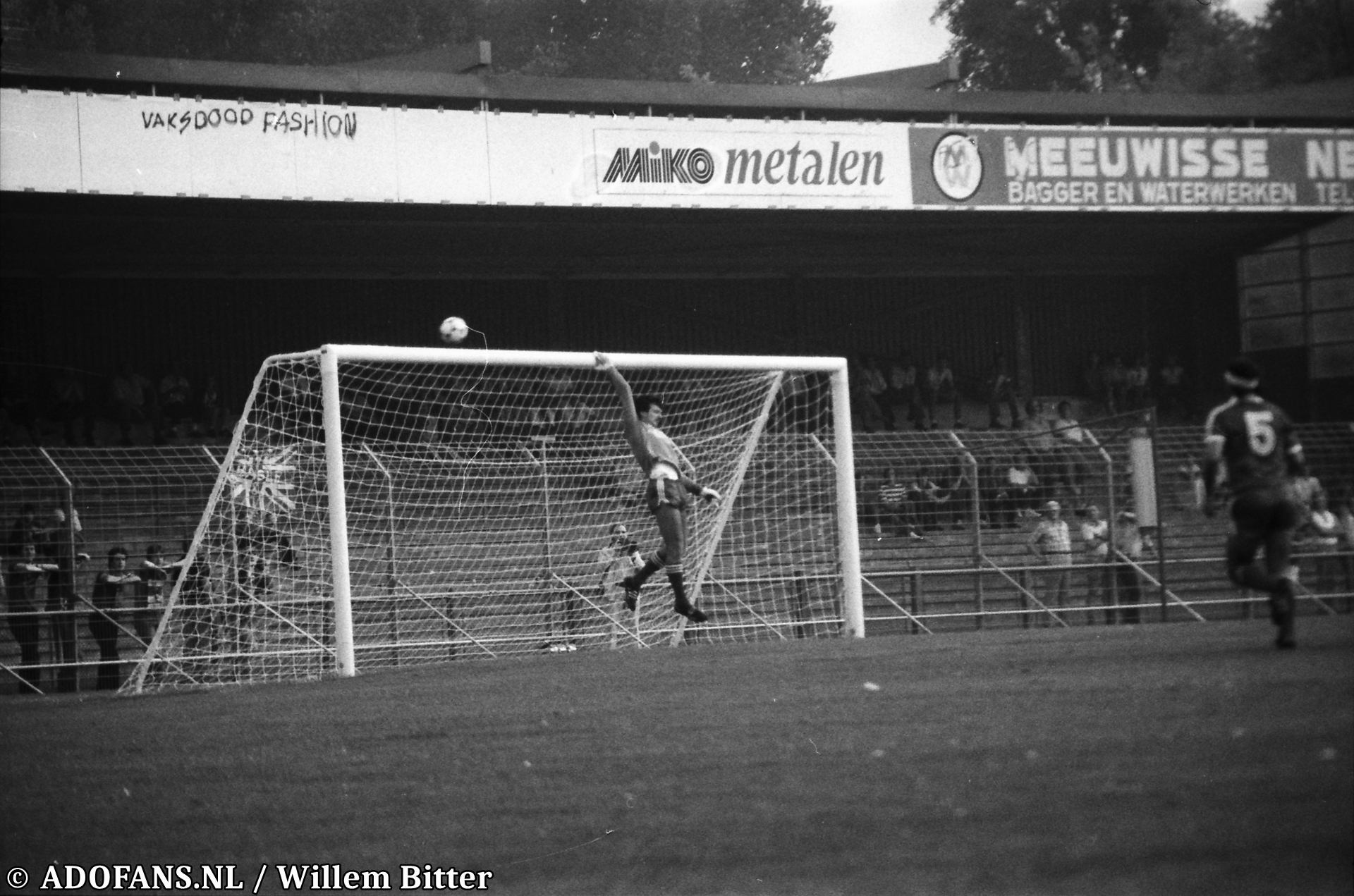 FC Den Haag Brighton Hove Albion