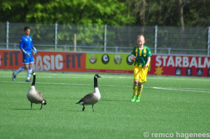 jeugdwedstrijden ADO Den Haag Zuiderpark 23 april 2016