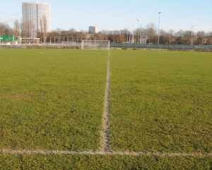 afscheid zuiderpark grasveld