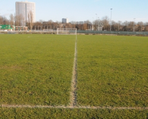 afscheid zuiderpark grasveld 